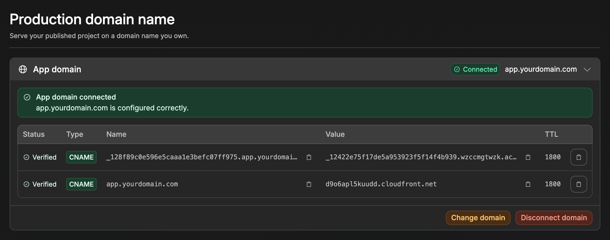 DNS records to copy from the Domain tab