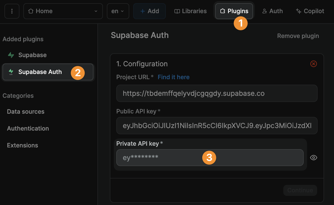 Supabase auth plugin configuration