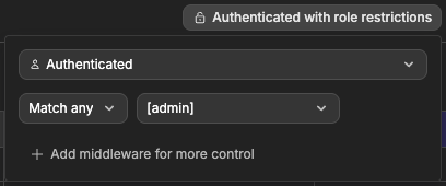The Access popover set to Authenticated, with a Match any condition restricting the view to the admin role